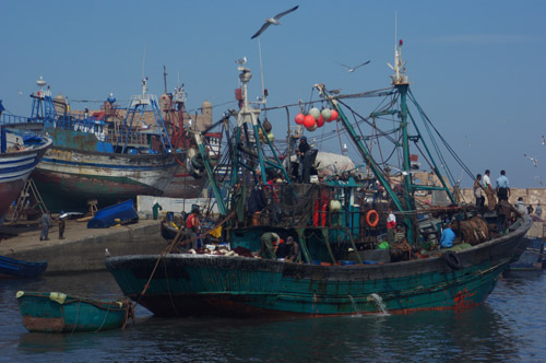 Fischerboote in Essaouira
