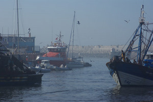 Chiloé im Hafen von Essaouira (Suchbild)